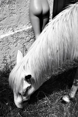 Un autre regard